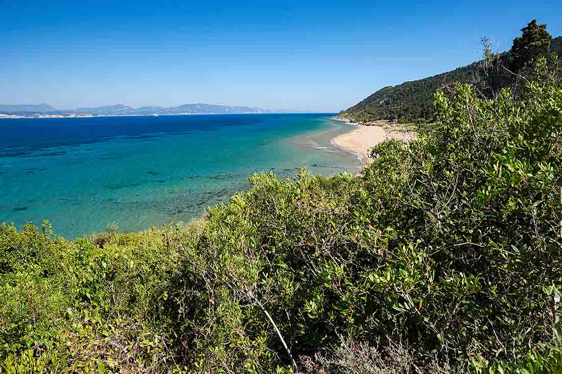 Μαθράκι Διαπόντια