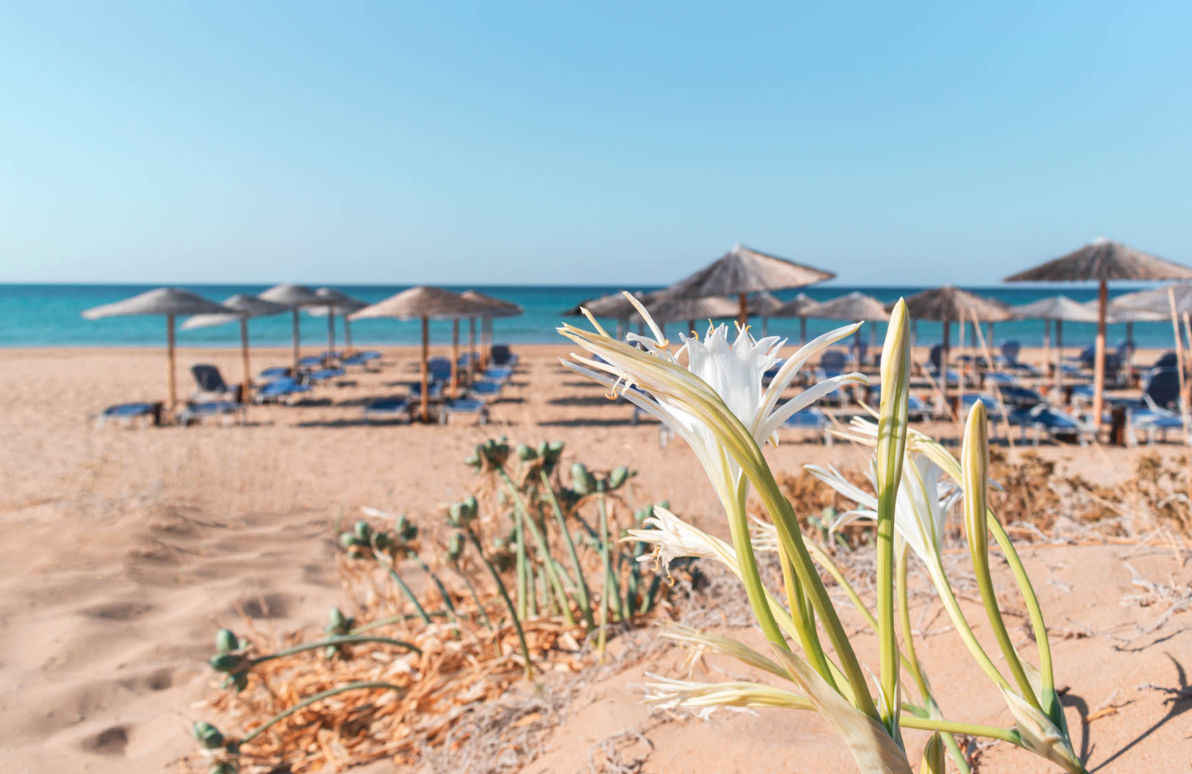 Chalikounas Xalikoounas beach  Χαλικούνας παραλία mykerkyra 