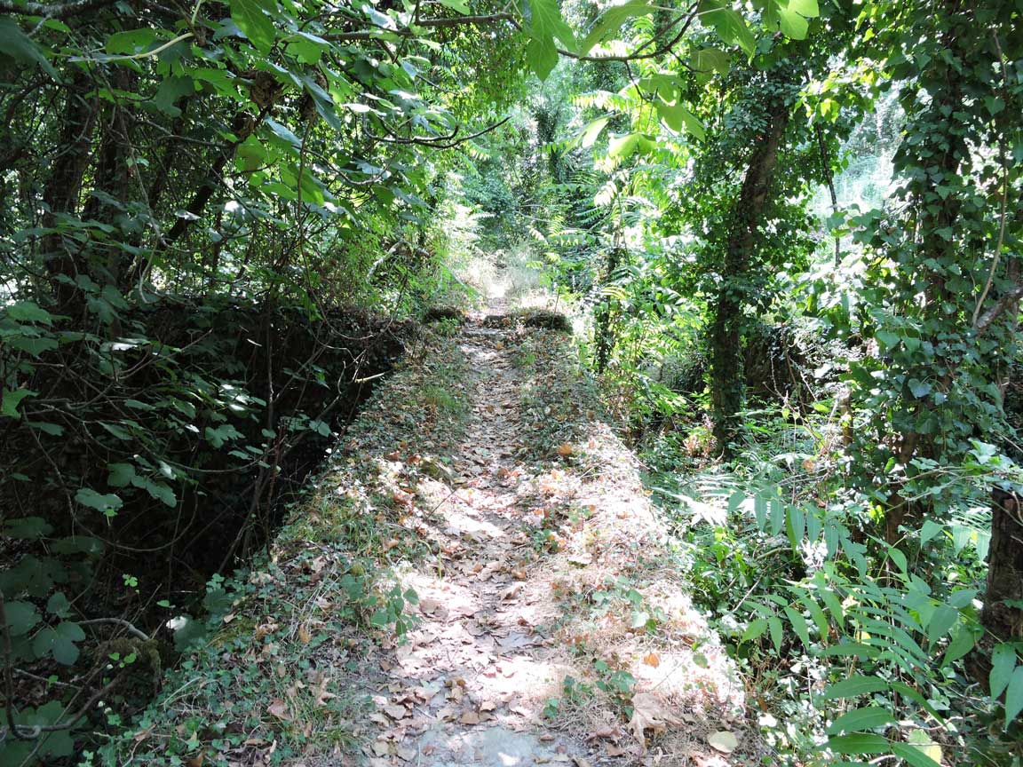 Μπενίτσες Benitses mykerkyra.com