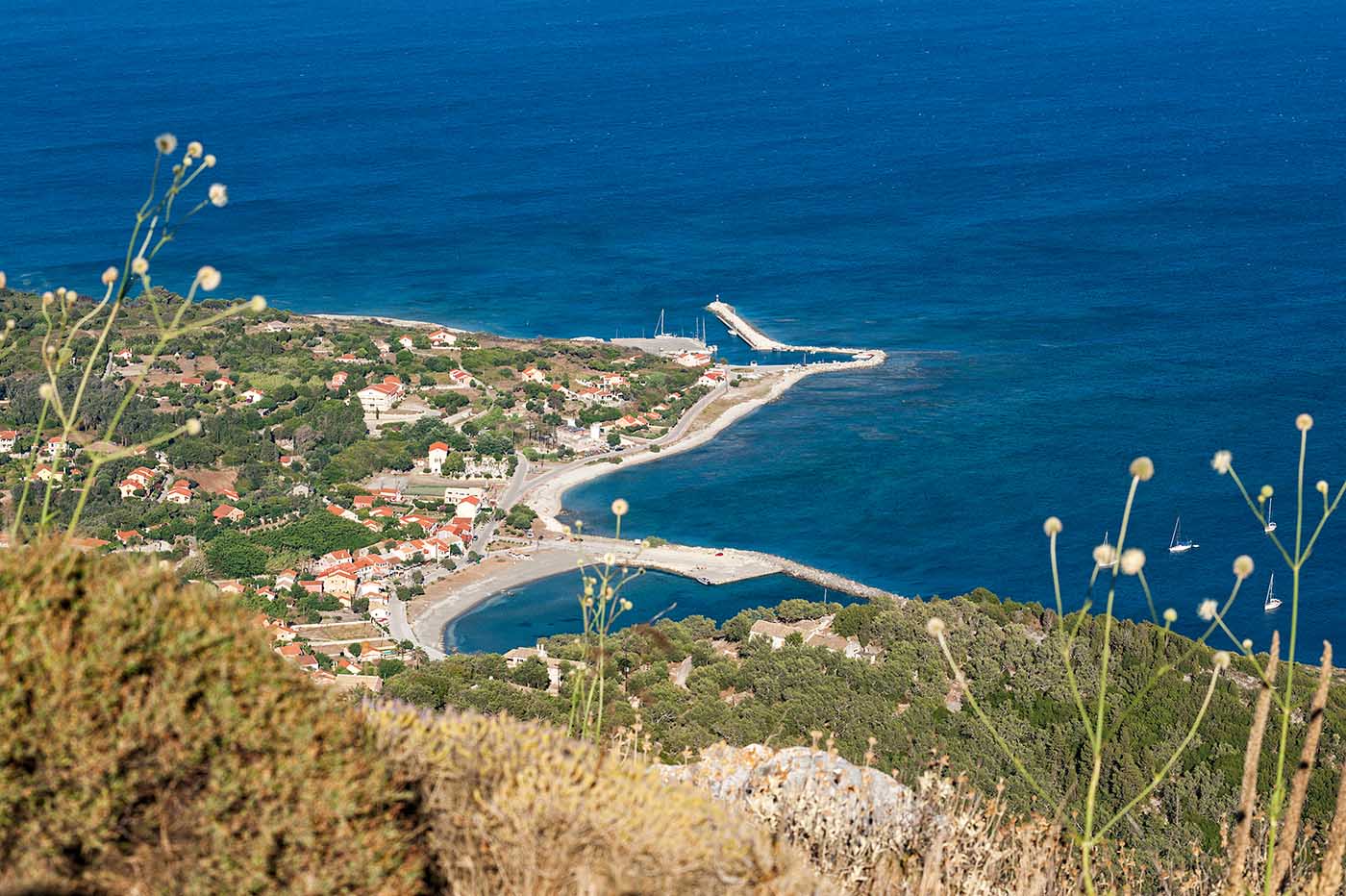 Οθωνοί Διαπόντια