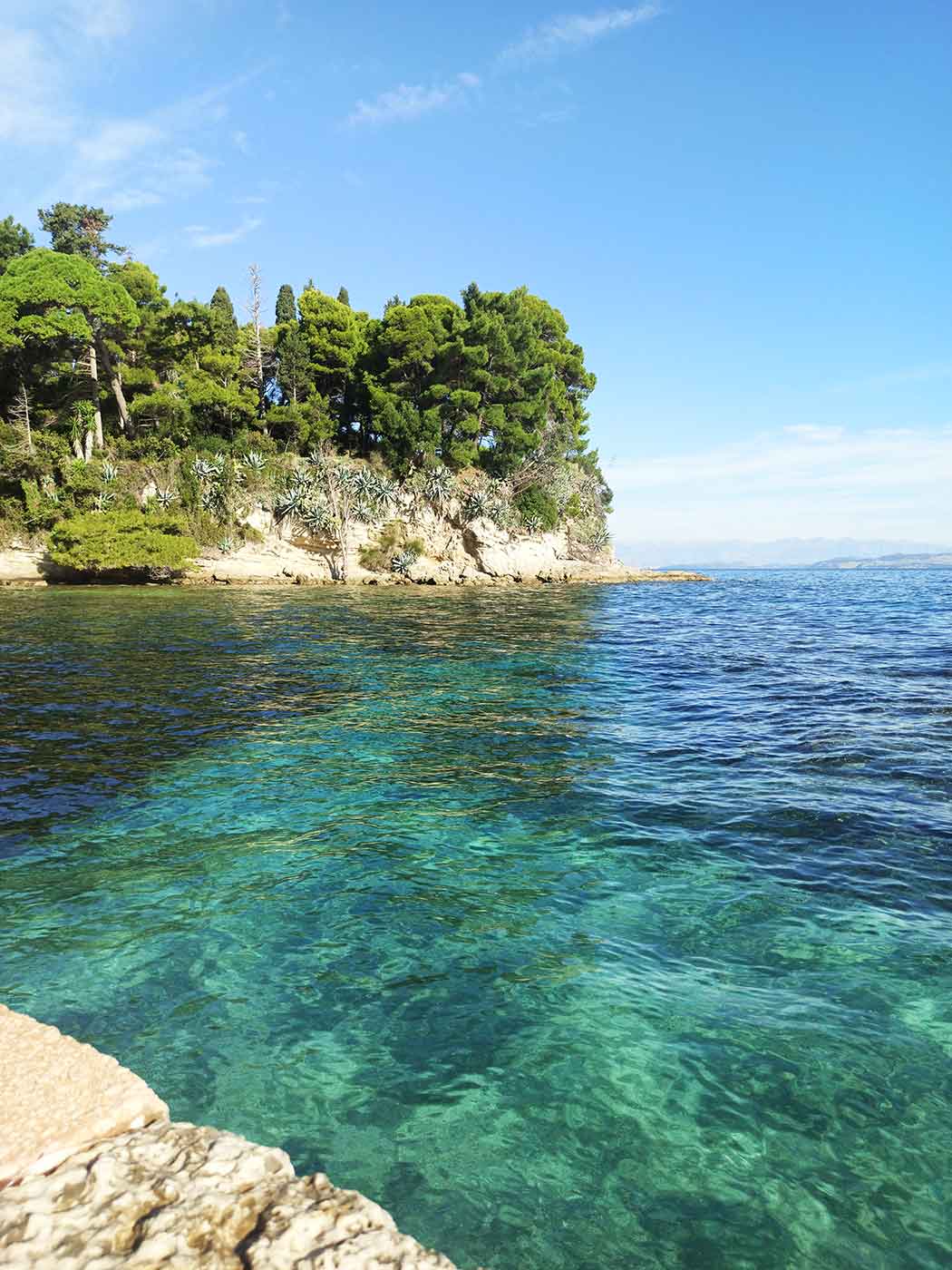 Καρδάκι Μον Ρεπό mykerkyra.com