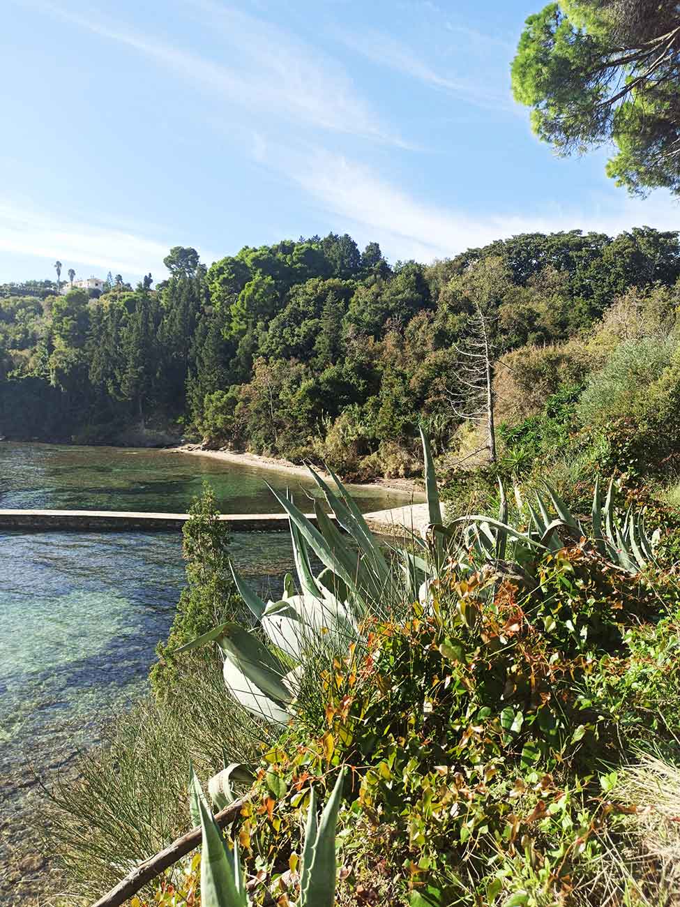 Καρδάκι Μον Ρεπό mykerkyra.com