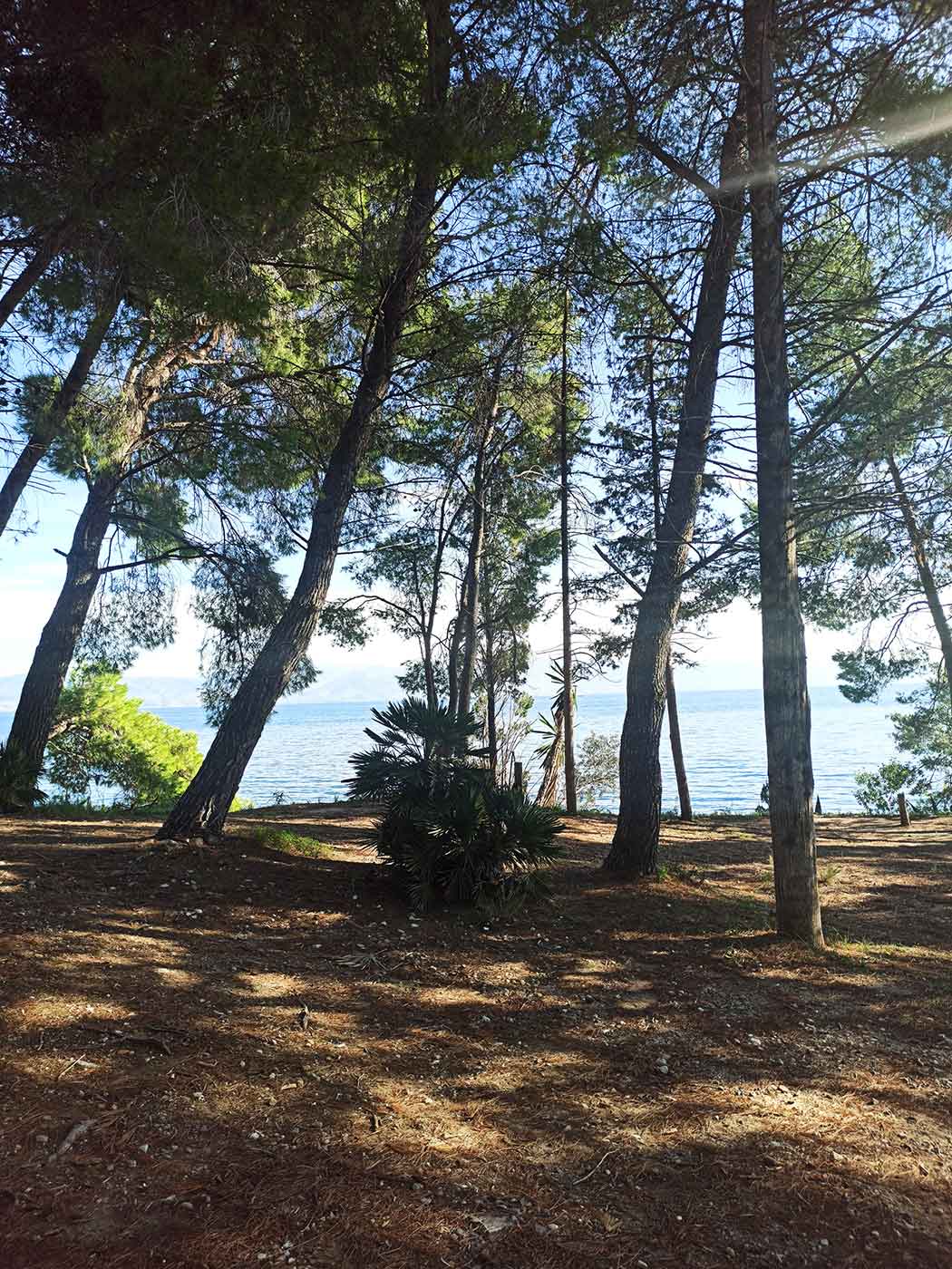 Καρδάκι Μον Ρεπό mykerkyra.com