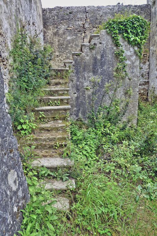 Μονή Παναγίας Αρκουδίλα