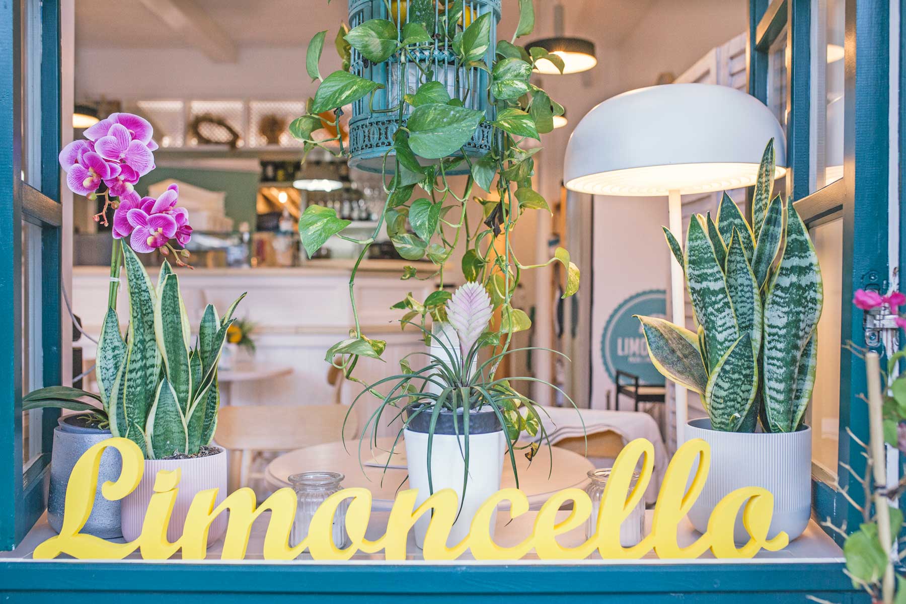 Limoncello Pizza Pasta Aperitivo mykerkyra.com restaurant Corfu