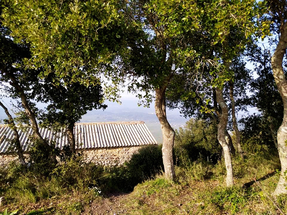 Saint George Vatos mykerkyra.com