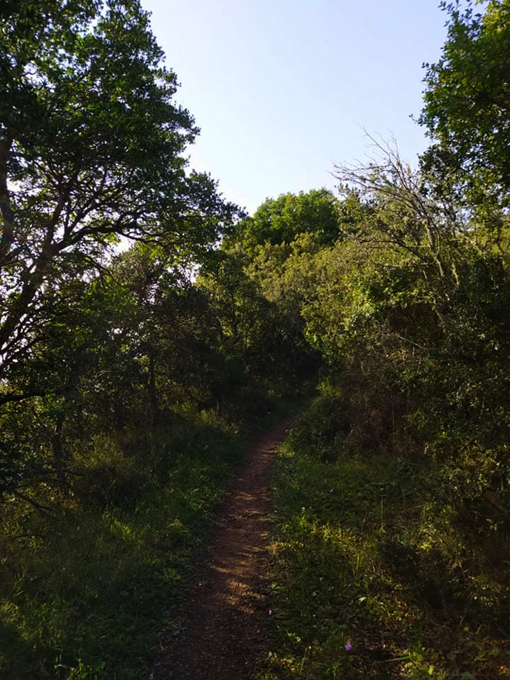 Saint George Vatos mykerkyra.com