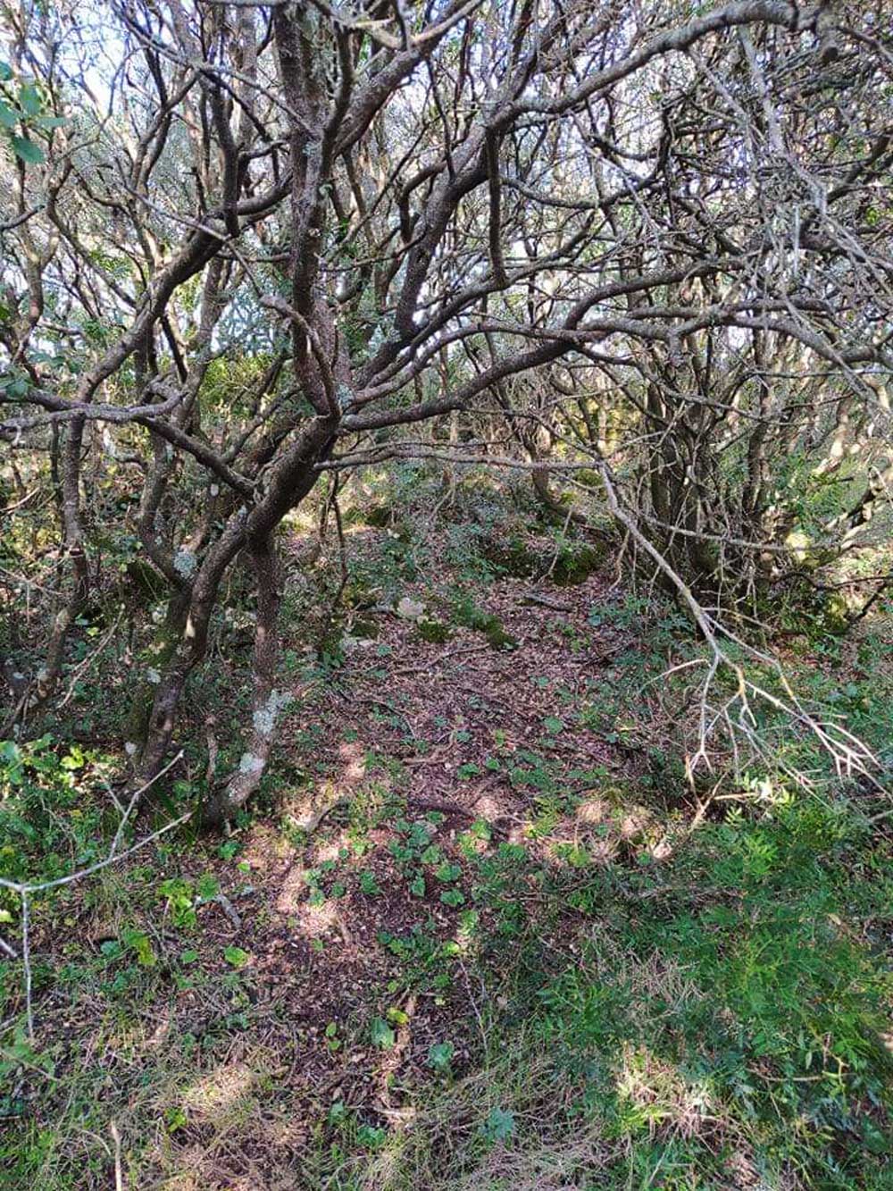 Saint George Vatos mykerkyra.com