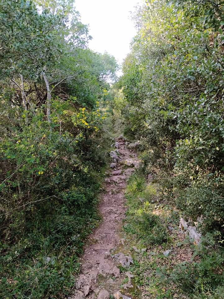 Saint George Vatos mykerkyra.com