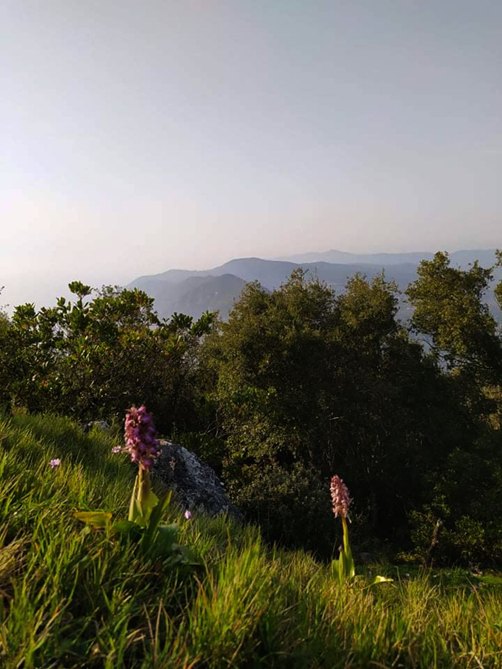 Saint George Vatos mykerkyra.com