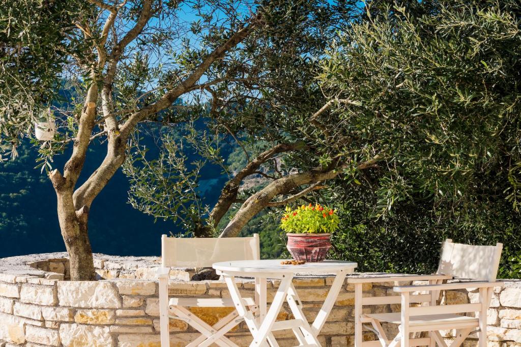 Villa Socrates mykerkyra.com