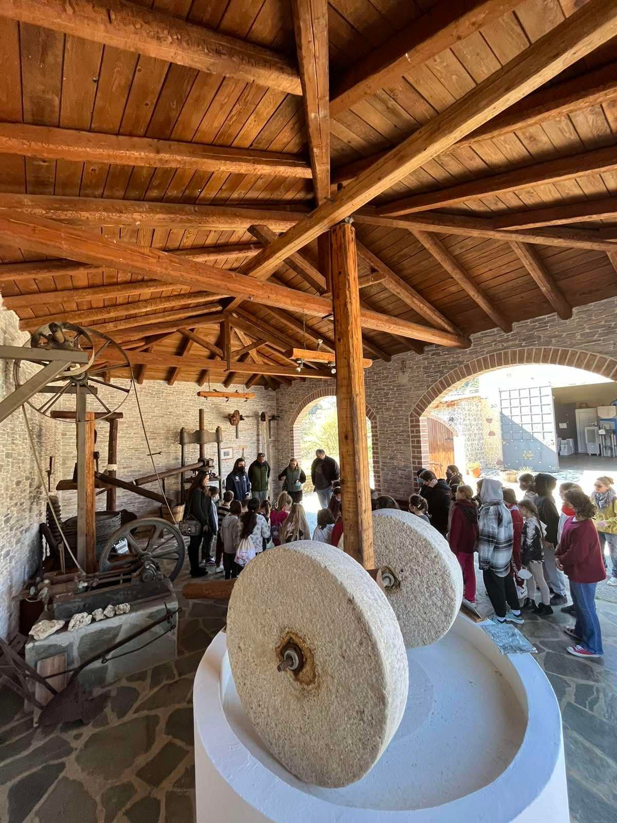 The Governor Olive Oil Corfu