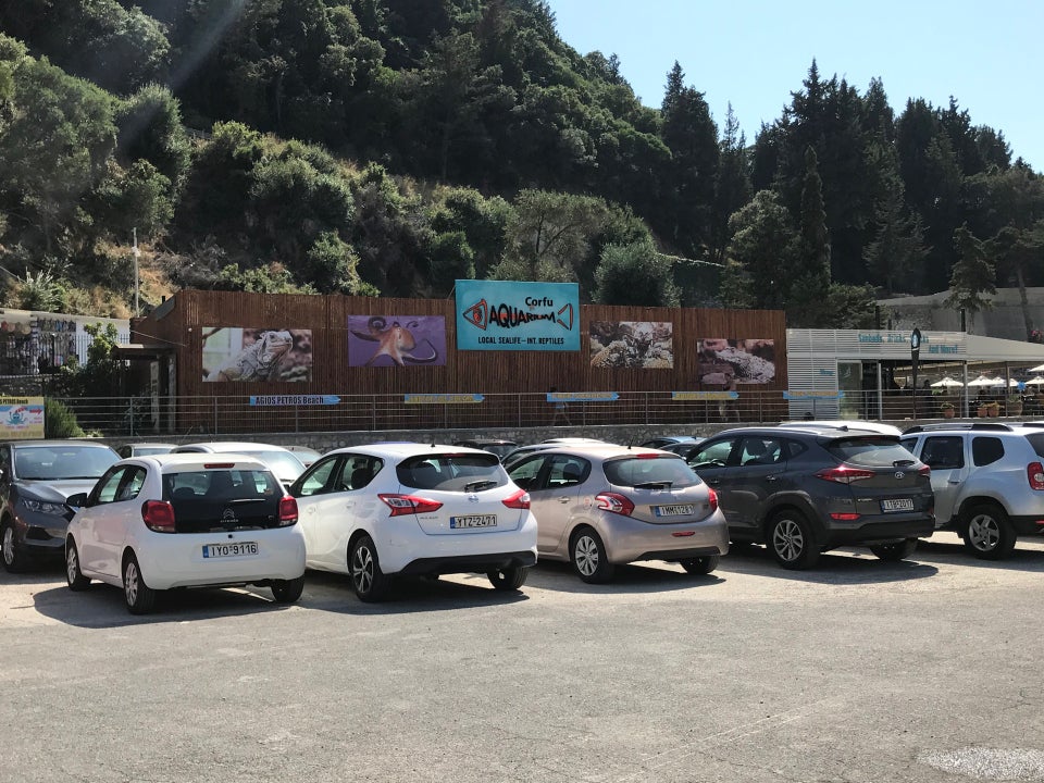 Corfu Aquarium Paleokastritsa Ενυδρείο Παλαιοκαστρίτσα ερπετά ψάρια αμφίβια Κέρκυρα mykerkyra