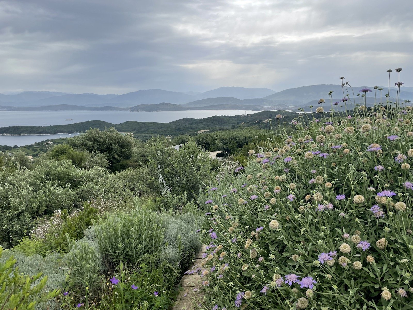 Corfu Garden Festival Κέρκυρα φεστιβάλ κήπων κήποι (2)