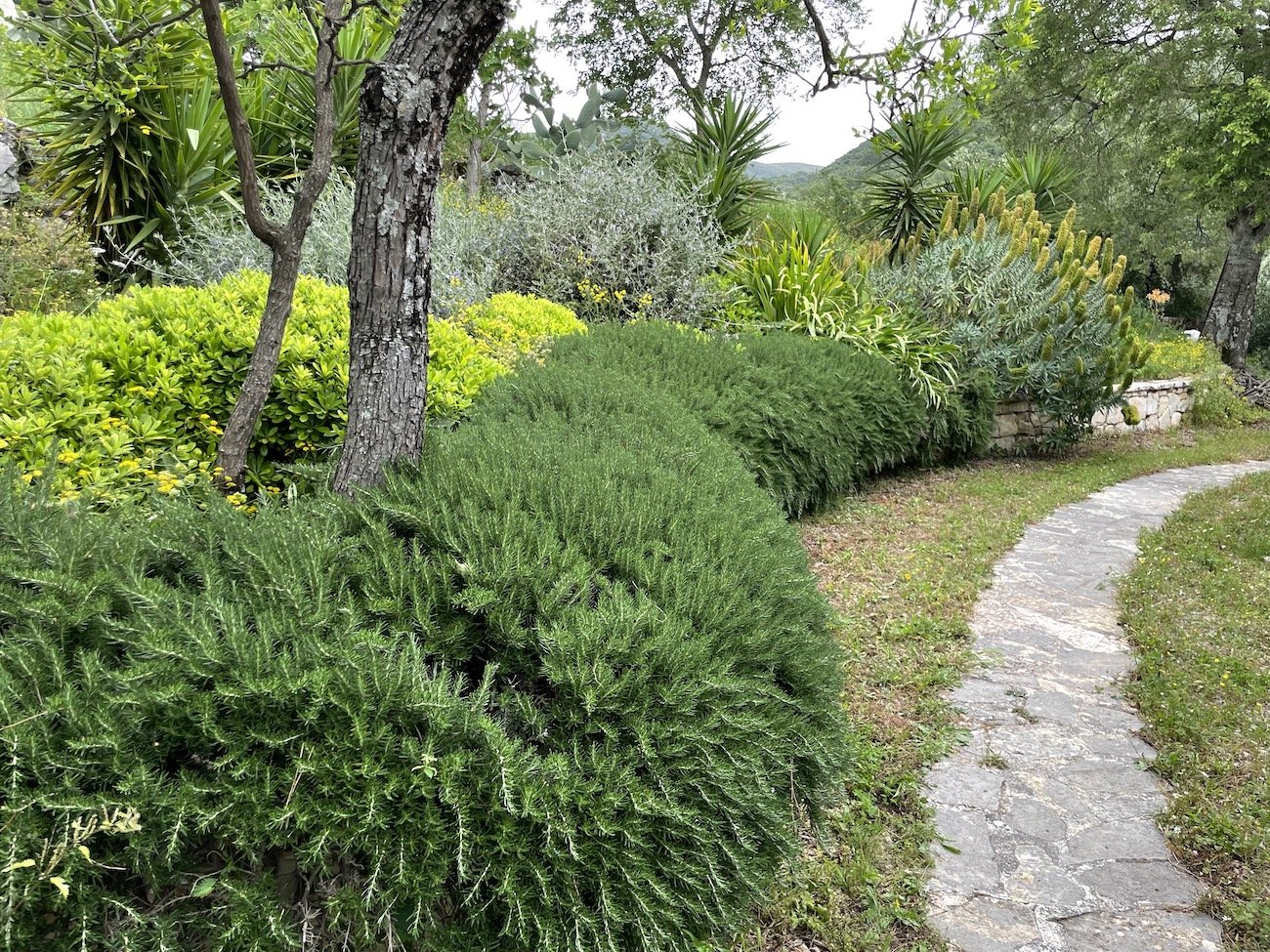 Corfu Garden Festival Κέρκυρα φεστιβάλ κήπων κήποι