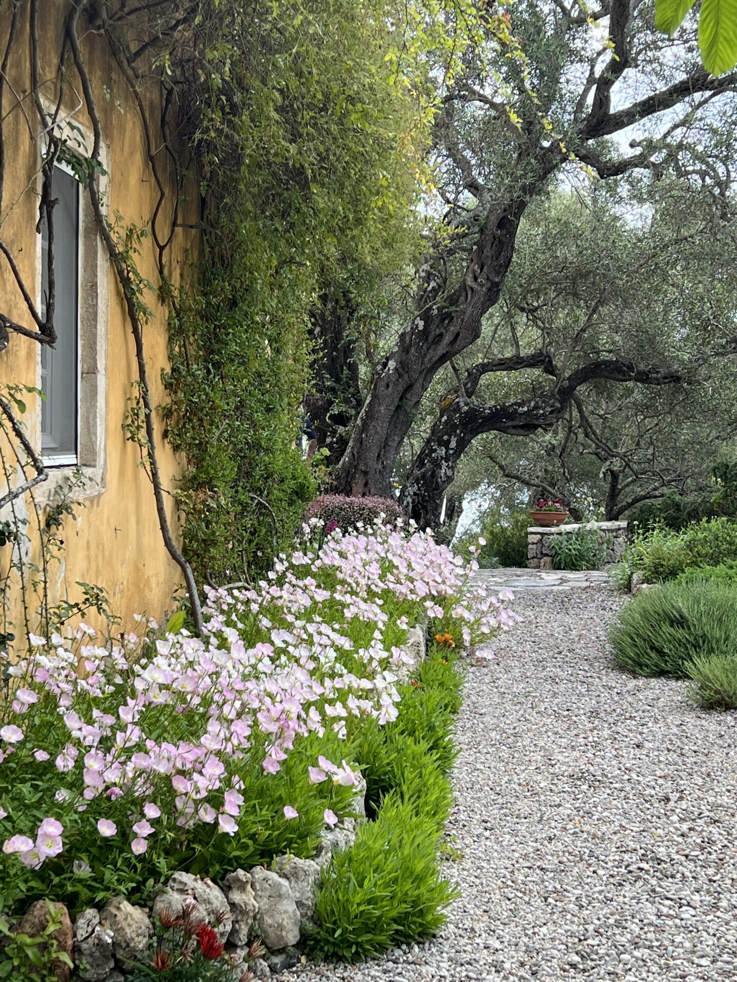 Corfu Garden Festival Κέρκυρα φεστιβάλ κήπων κήποι (2)